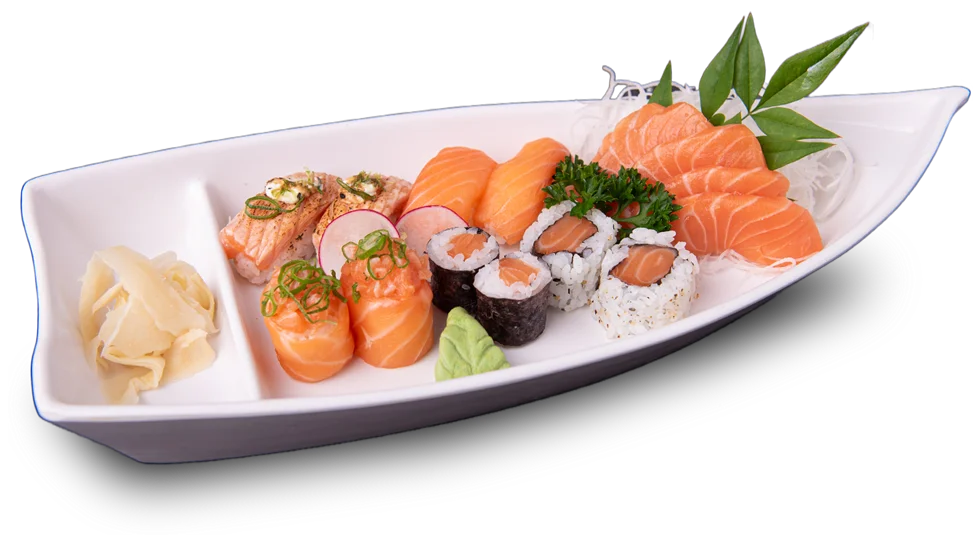 Combinado de Salmão